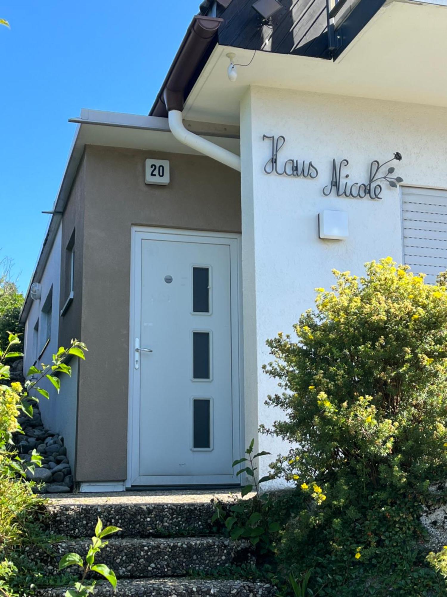 Haus Nicole Apartment Herrischried Exterior foto
