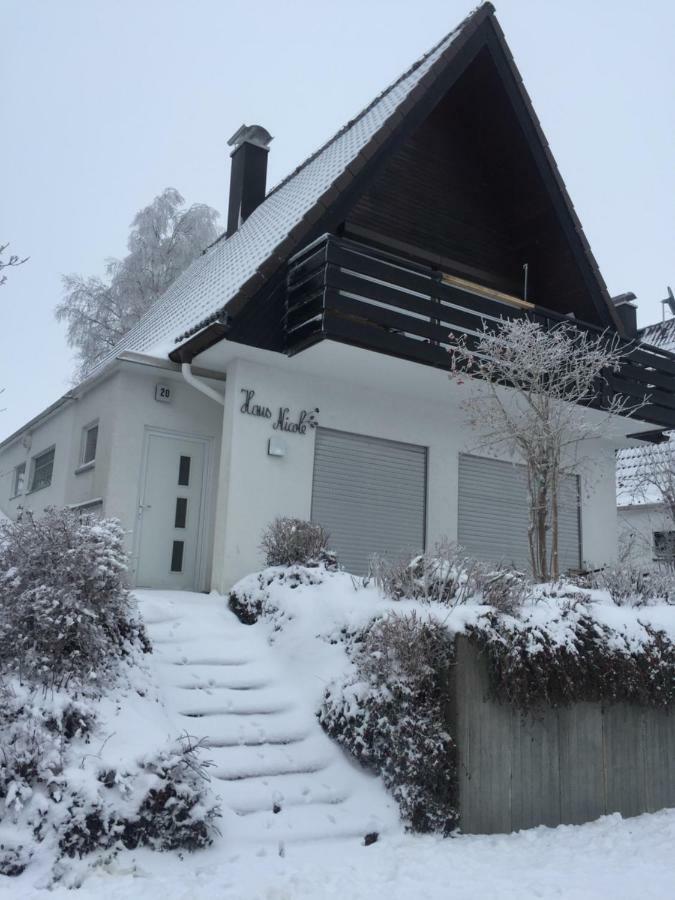 Haus Nicole Apartment Herrischried Exterior foto